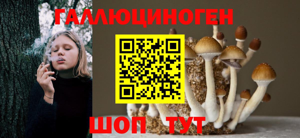 Галлюциногенные грибы ЛСД  Вход с VPN  Псилоцибиновые грибы Cubensis  Назарово 